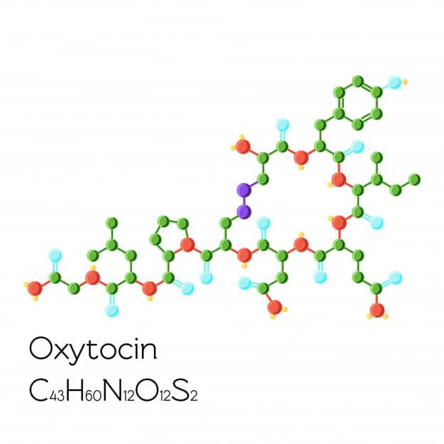 هرمون الأوكسيتوسين