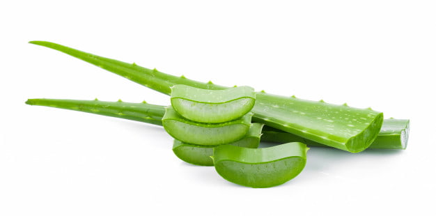 aloe vera